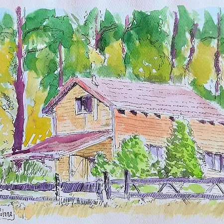Holiday park Lesna Polana